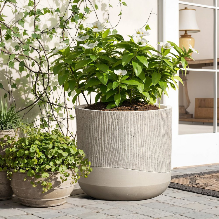 Planters